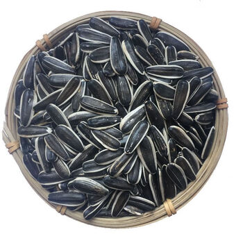 虎钢馋内蒙古河套五原现炒葵花子原味瓜子大颗粒散装新货葵花籽 精选