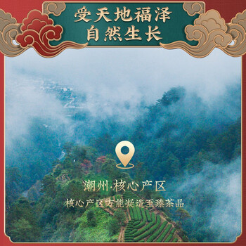 传奇会乌龙茶 凤凰单枞蜜兰香特级250g 罐装乌岽单丛茶叶自己喝送礼