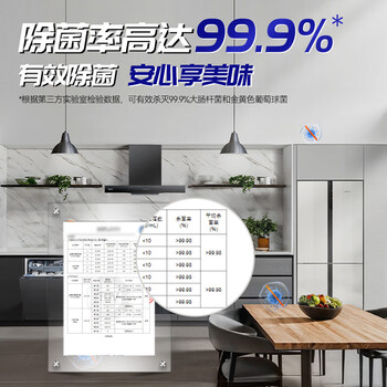 威猛先生（Mr Muscle）油污清洁剂 油烟机净油泡泡650g*2+650g替换 小青柠香G14净油因子