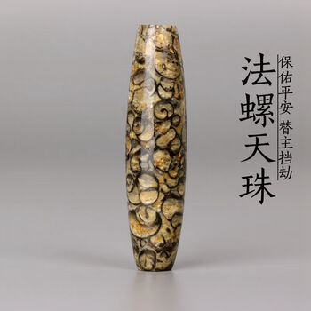 海螺天珠一代天珠法螺天珠天珠天然西藏真品海螺化石天珠天珠吊坠散珠