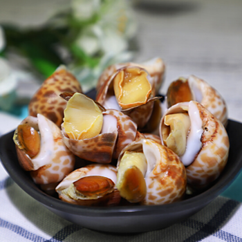 活冻花螺大海螺鲜活冷冻花螺新鲜小海螺香螺海鲜贝壳水产4斤大号花螺