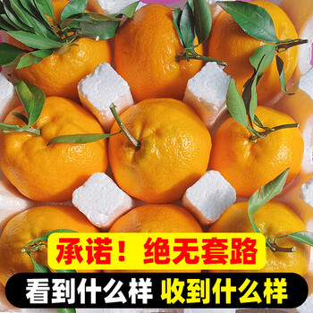 应该叫粑粑柑还是耙耙柑(粑粑柑还是耙耙柑怎么读)