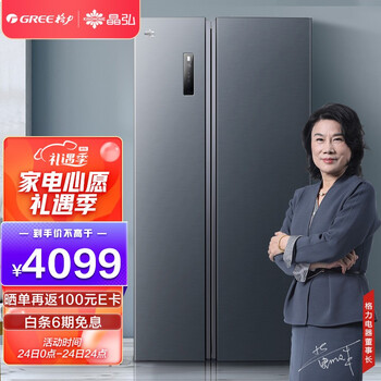 格力（GREE）晶弘 600升一级能效变频风冷离子净味大容量双开对开门冰箱 BCD-600WPDCL/布鲁斯