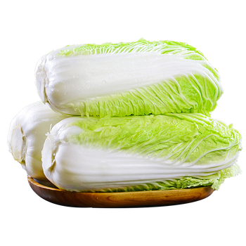 东北大白菜蔬菜菜黄心白菜鲜嫩小白菜冬季青菜现摘青菜整颗白菜10斤