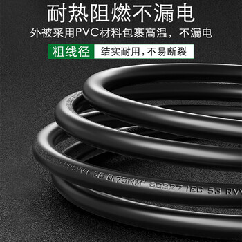 福为胜 三孔裸尾线欧规三插头带线电源线 铜芯自接线 黑色 16A 3*1.5平方 3米 FWS-DX3022-3M