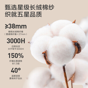 京东京造 180g加厚臻柔毛巾 五星级酒店A类纯棉成人男女大面巾 2条装 臻白