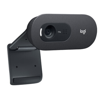 罗技（Logitech）C505e高清摄像头 家用摄像头 电脑摄像头 台式机摄像头 网课教学 网络课程会议摄像头