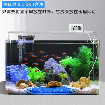 千奇梦 数显温度计高精度鱼缸养殖专用电子温度传感器冰箱温度计 千奇梦 数显温度计高精度鱼缸养殖专用电子温度传感器冰箱温度计