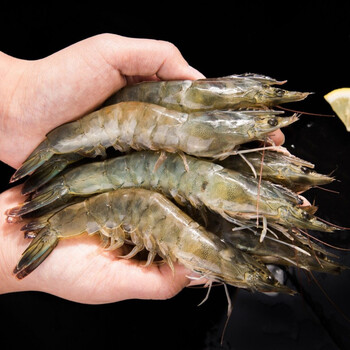 青岛大虾新鲜超大虾海虾海捕白虾鲜活冷冻基围虾一箱青虾海鲜12厘米4