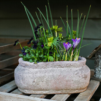 器艺术红土陶装饰器皿摆件做旧花园庭院复古艺术花盆a款宽295高12cm大