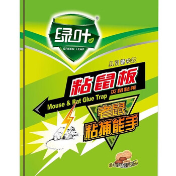 绿叶粘鼠板 6个装 老鼠贴 强力黏鼠器 灭鼠板 诱捕器 GL02120