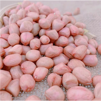 fghgf新鲜生花生米大白沙花生仁去壳农产品自种5斤大白沙精选装