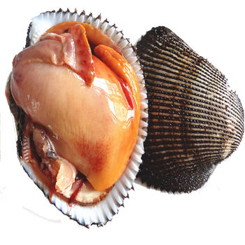 鲜活大赤贝海鲜贝类新鲜大毛蚶活蛤蜊毛蛤血蛤生吃刺身水产四斤装