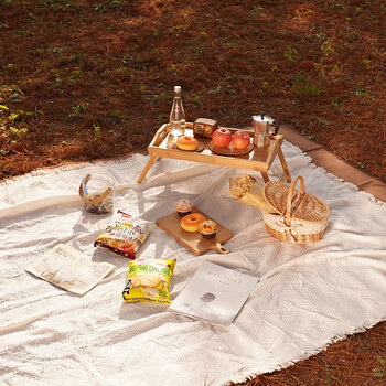 野餐桌布出游户外露营地垫野餐垫ins风沙滩垫加厚白色野餐布网红用品
