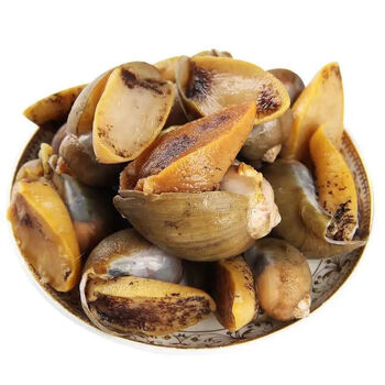 顺鑫贝老婆脚新鲜半熟速冻假鲍鱼鲍螺肉海鲜水产批发麻辣小海鲜精品半