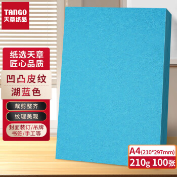 天章 （TANGO）A4封面纸 双面凹凸皮纹纸 压纹纸 云彩纸 封皮纸 彩色卡纸标书封面 硬厚手工卡纸湖蓝色210g100张