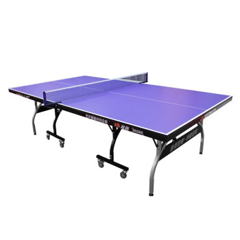 双鱼（DOUBLE FISH）乒乓球桌家用可折叠移动室内标准乒乓球台训练彩虹型 2028S