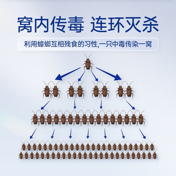 灭害灵杀蟑螂药贴 诱饵杀虫剂家用酒店饭店驱杀蟑螂捕捉药粉贴20粒装1盒