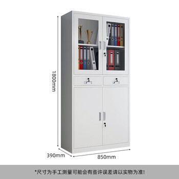 丰龙文件柜办公柜钢制铁皮柜档案柜办公室资料柜凭证柜储物柜中二斗柜