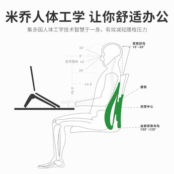 米乔（minicute）腰靠垫人体工学座椅子坐垫靠背汽车办公室学生呵护脊柱腰部椎枕托