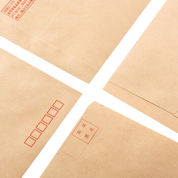 递乐 3号牛皮纸信封袋票据工资袋 邮局标准信封100个/包 4603