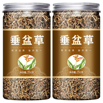 垂盆草材500g正宗食用垂盆草干垂盆草茶锤盆草 500g