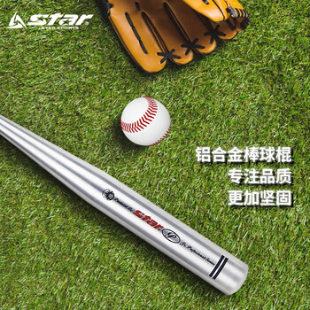 世达（star）WR310 棒球棒加厚铝合金棒球棍车载防身自卫 银色 31英寸