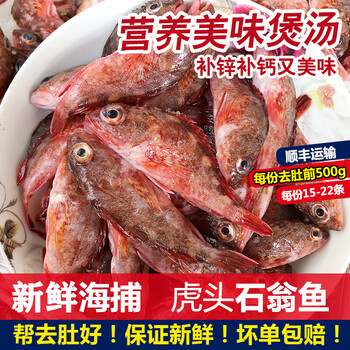 超朴石翁鱼 海钓煲汤海鱼新鲜深海鱼红石斑石头九公小虎头鱼500g 一斤