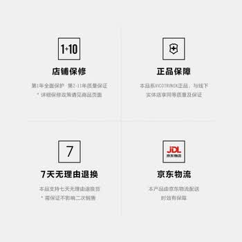 维氏（VICTORINOX）瑞士军刀埃蒙特原创15英寸商务电脑包防泼水双肩包时尚背包606742