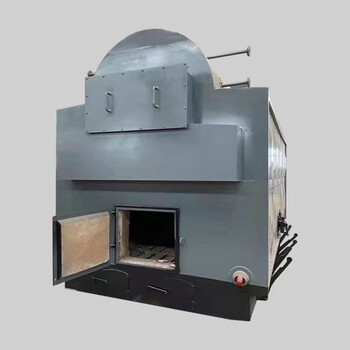 金御泰卧室手烧dzh24吨燃木柴燃颗粒大型工业生物质链条蒸汽锅炉dzh