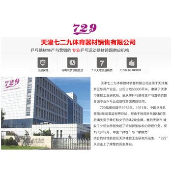 729乒乓球胶皮 乒乓球拍训练型套胶 普及套单片装 红色44度