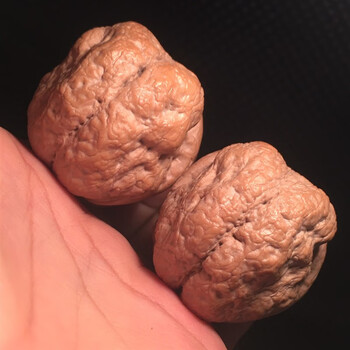 铁核桃文玩核桃品牌及商品- 京东