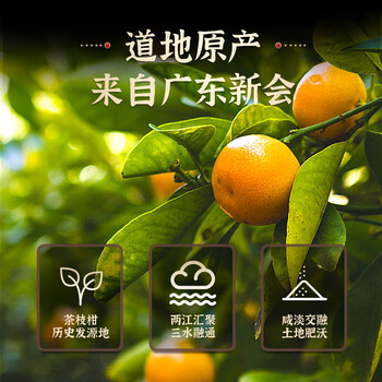 同仁堂（TRT）陈皮广东原产新货陈化老陈皮大红皮105g/罐