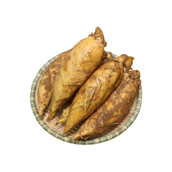 冬笋 冬笋浙江安吉冬笋鲜笋现挖5斤竹笋大冬笋蔬菜黄泥笋 2.5kg