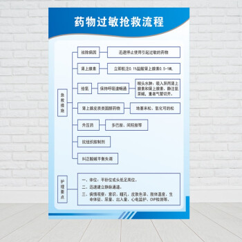 醫院過敏性休克心肺復甦急救流程掛i圖診所急性病症處理急診室制度03