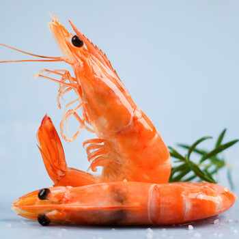 脊岭岛盐田虾5盒新鲜大虾鲜虾海鲜速冻即食熟虾250g