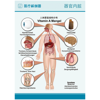 醫院科室掛畫宣傳畫海報人體骨骼結構掛圖示意圖貼畫wsa25 wsa85-01