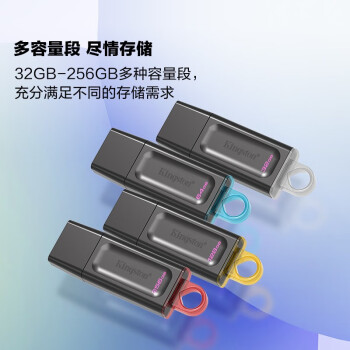 金士顿（Kingston）256GB USB3.2 Gen 1 U盘 DTX 防丢帽 时尚设计 轻巧便携