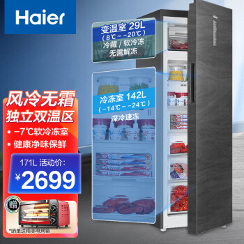 海尔（Haier）冷柜 一级能效节能冰柜 家用立式母乳冰柜大冷冻柜 BD-171WGHECZ独立双温冷冻冷藏+无霜