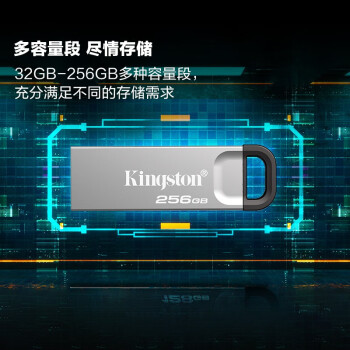 金士顿（Kingston）256GB USB 3.2 Gen 1 U盘 DTKN 大容量U盘 金属外壳 读速200MB/s 学习办公投标电脑车载通用