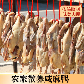 裕腊坊 大只咸鸭成年风干咸麻鸭安徽特产腊鸭农家腌制散养稻田鸭六安