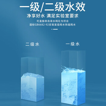 恩谊 超纯水机实验室纯水仪化水机ro反渗透去离子水设备学校净水器 UP-10L二级水