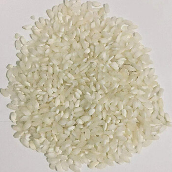 五折肠粉专用米粉米肠粉米石磨肠粉米阳春大米珍桂矮陈米珍桂米早籼米