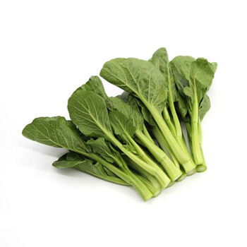 新鲜宁夏菜心正宗菜苔时令蔬菜小青菜水白菜花 8斤