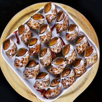 大花螺海捕花螺鲜活冷冻新鲜东风螺海螺海海鲜水产芳玫二斤