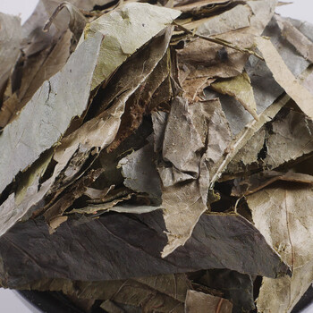 山香圆叶中药材50g-1000克七寸钉两指剑千打锤中草药店铺 1000g