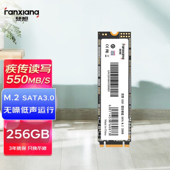 梵想（FANXIANG）256GB SSD固态硬盘 M.2接口(SATA总线) S201系列