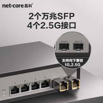磊科（netcore）GS6 6口企业级交换机4个2.5G电口+2个万兆SFP光口 支持向下兼容1G光电模块 千兆网络分线器