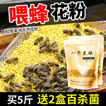 八千巢础蜜蜂油菜花粉颗粒纯天然花粉喂蜂饲料5斤蜜蜂花粉蜂花粉养蜂蜂粮 1斤装 纯天然花粉颗粒 图片价格品牌报价 京东