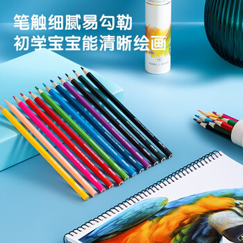 得力(deli)12色纸筒彩铅彩色铅笔手绘涂色专业美术生绘画笔套装（附带卷笔刀）女孩儿童礼物速写彩笔